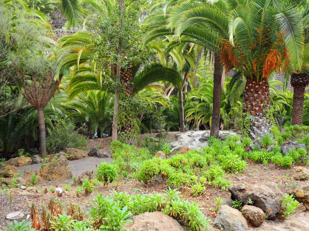 Uno de los jardines del Parque del Drago