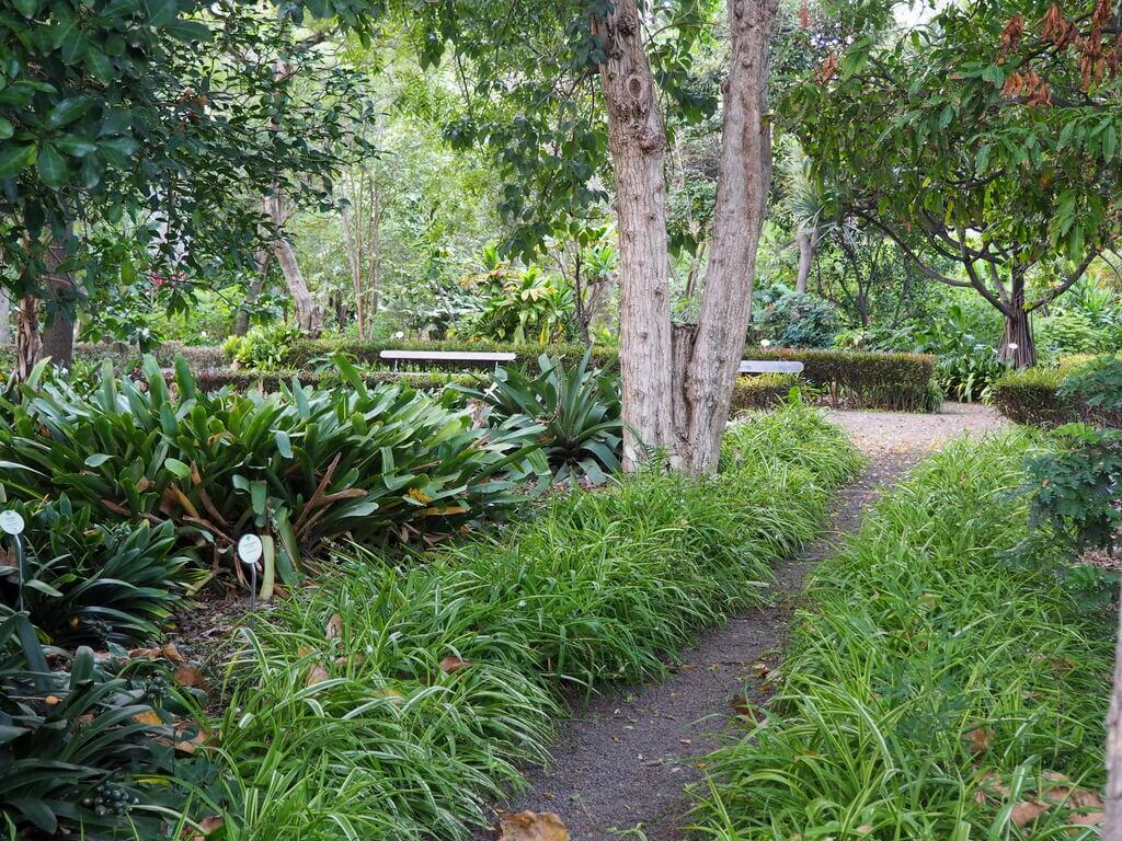 Interior del Jardín Botánico