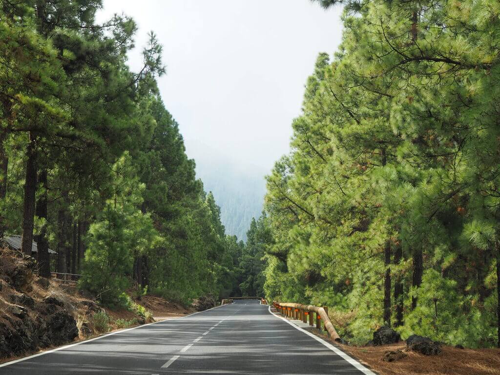 Camino del Parque Nacional de Teide