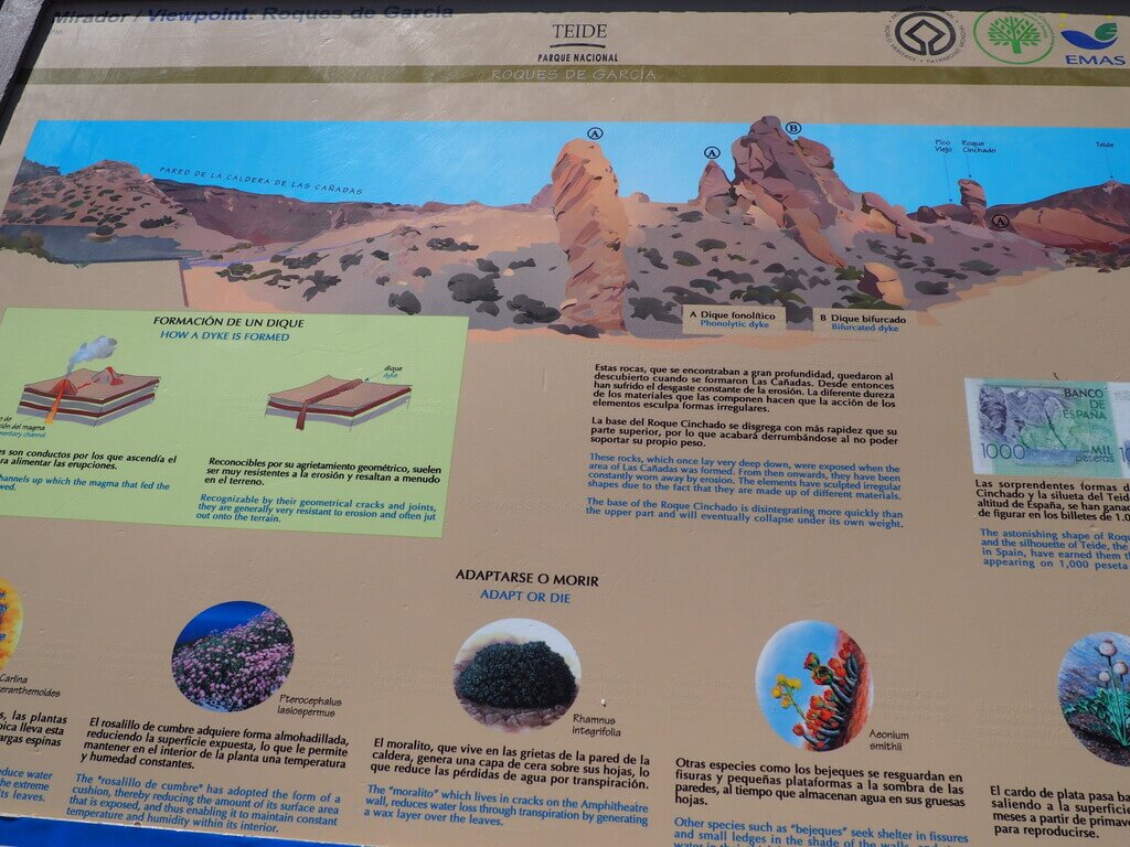 visitar el Parque Nacional del Teide