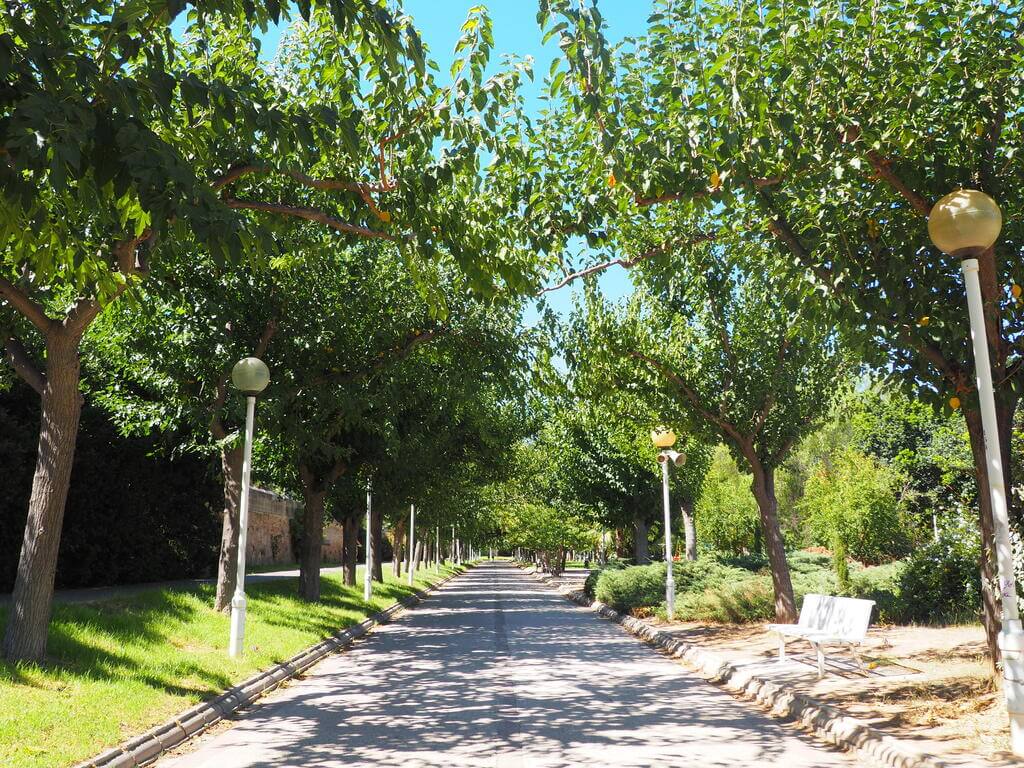 Caminando por el Jardín del Turia