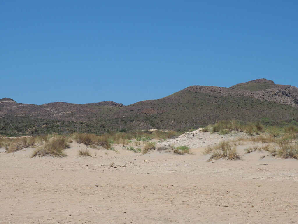 Dunas en la Playa de los Genoveses