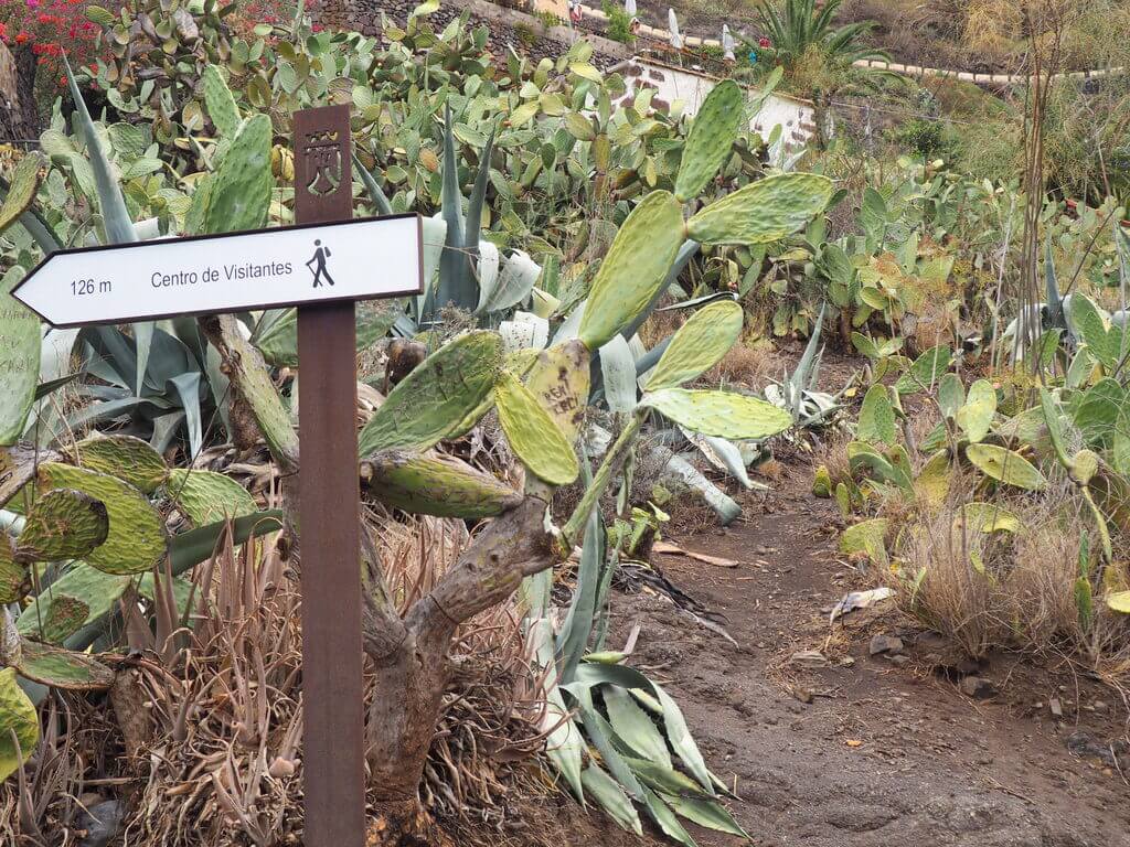 masca el pueblo más bonito de Tenerife