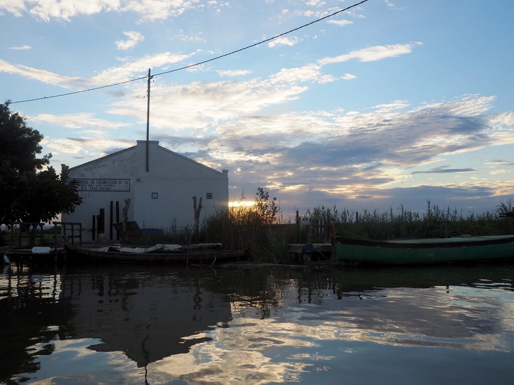 Paseo en barca por la Albufera