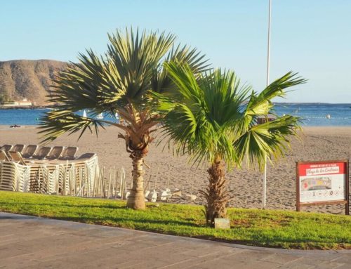 Las 10 mejores playas de Tenerife