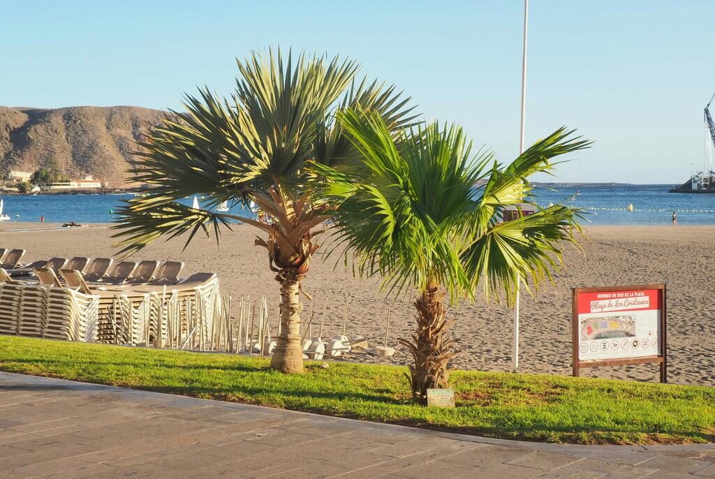 cuáles son Las mejores playas de Tenerife