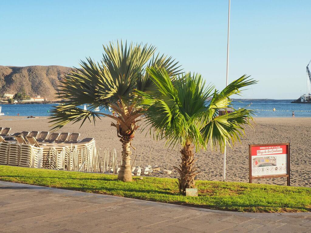 Playa de Los Cristianos