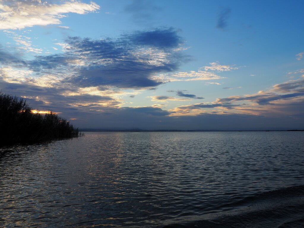 La Albufera