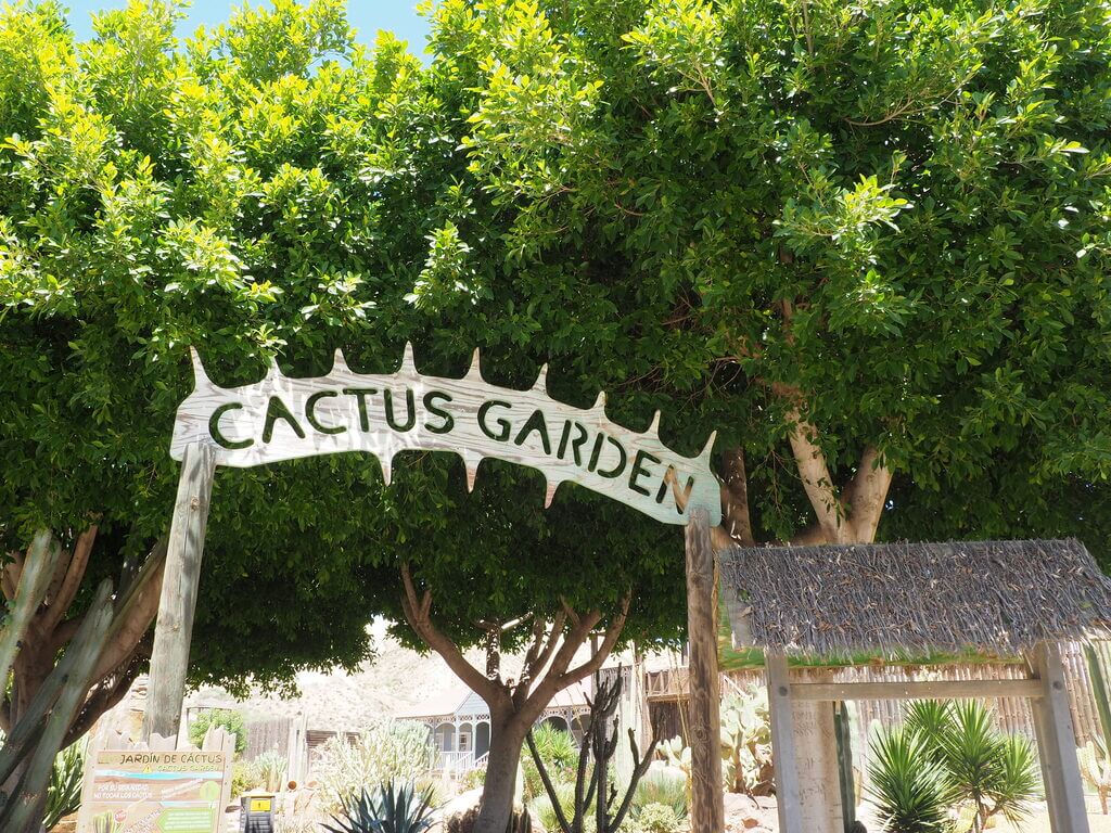 Entrada al Jardín de cactus