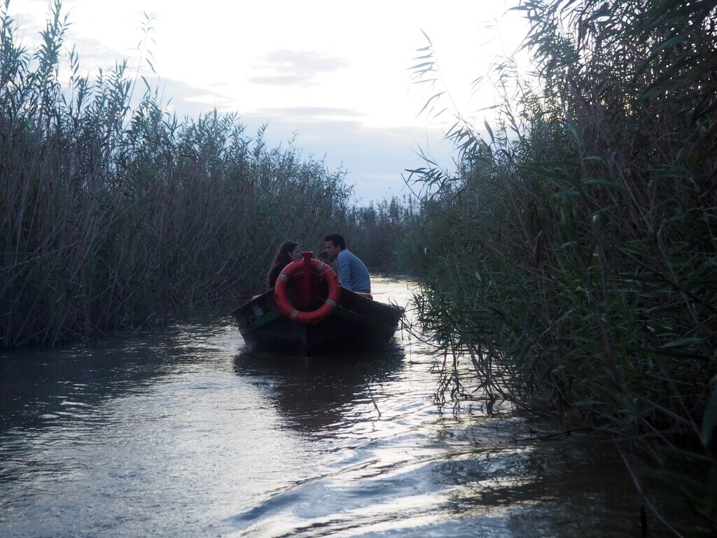 aseo en barca por la Albufera