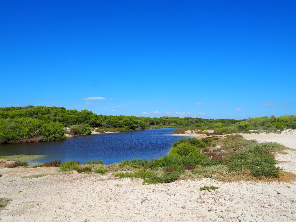 Salinas junto a la playa