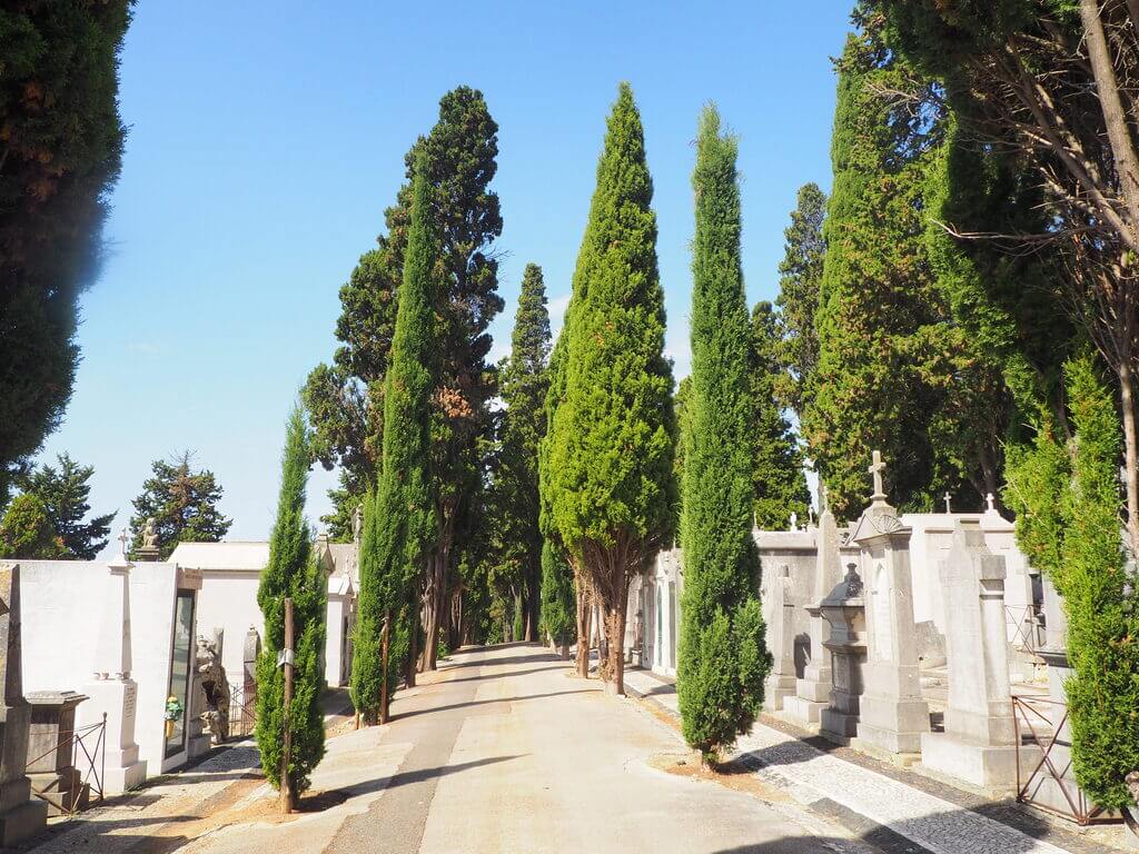 Cementerio dos Prazeres