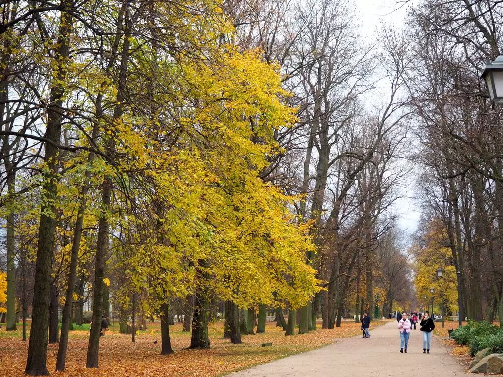 Parque Lazienki