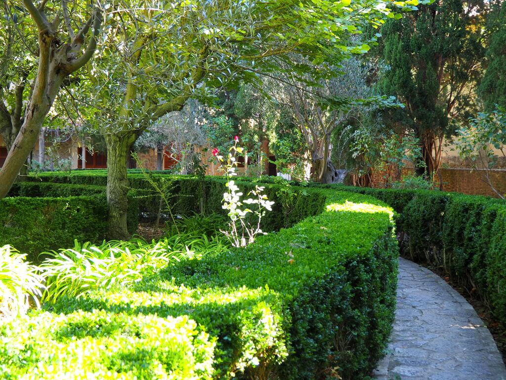 Jardines del Rey Juan Carlos