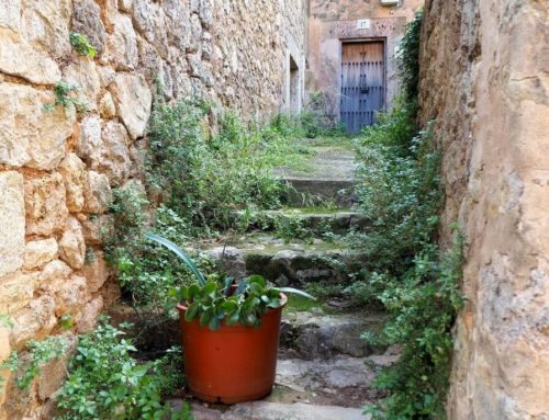 Qué ver en Valldemossa en un día