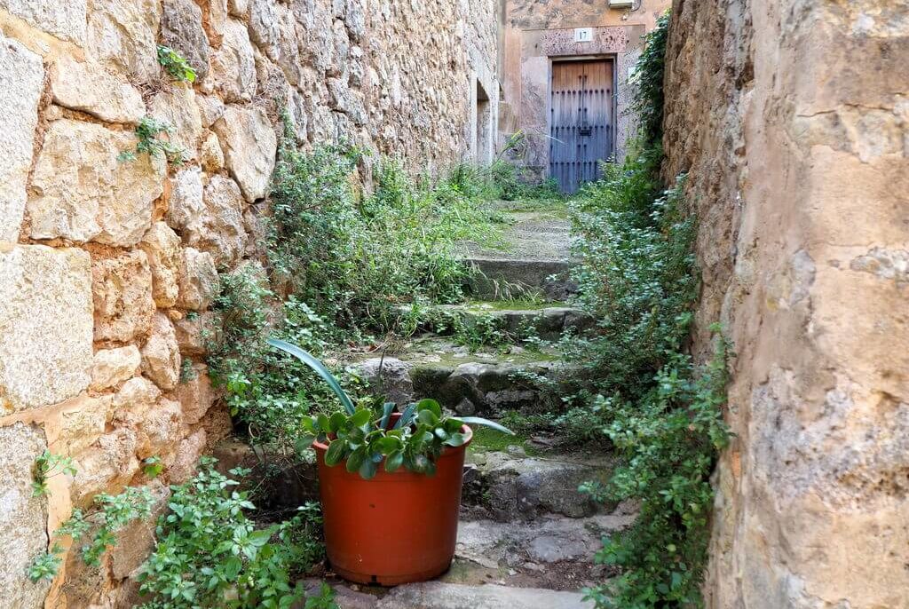 Qué ver en Valldemossa