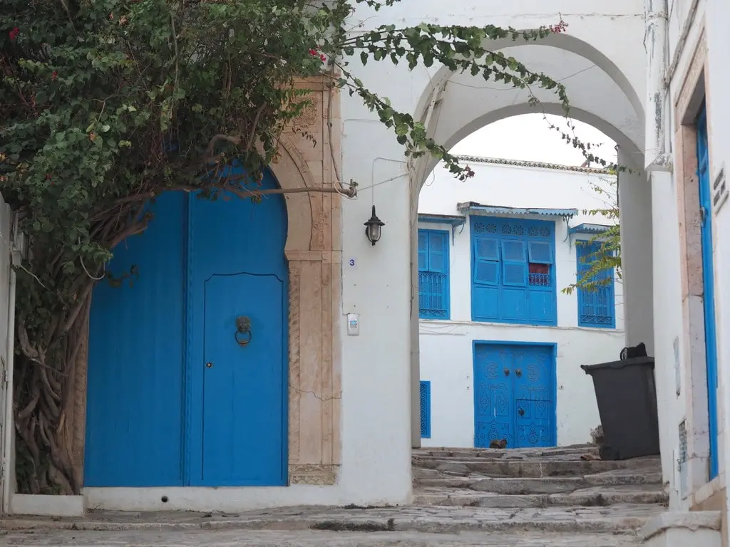 qué ver en Sidi Bou Said