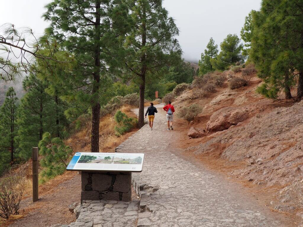 Roque Nublo