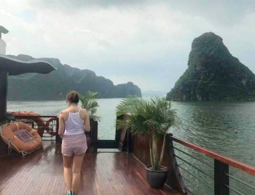 Crucero por la Bahía de Halong