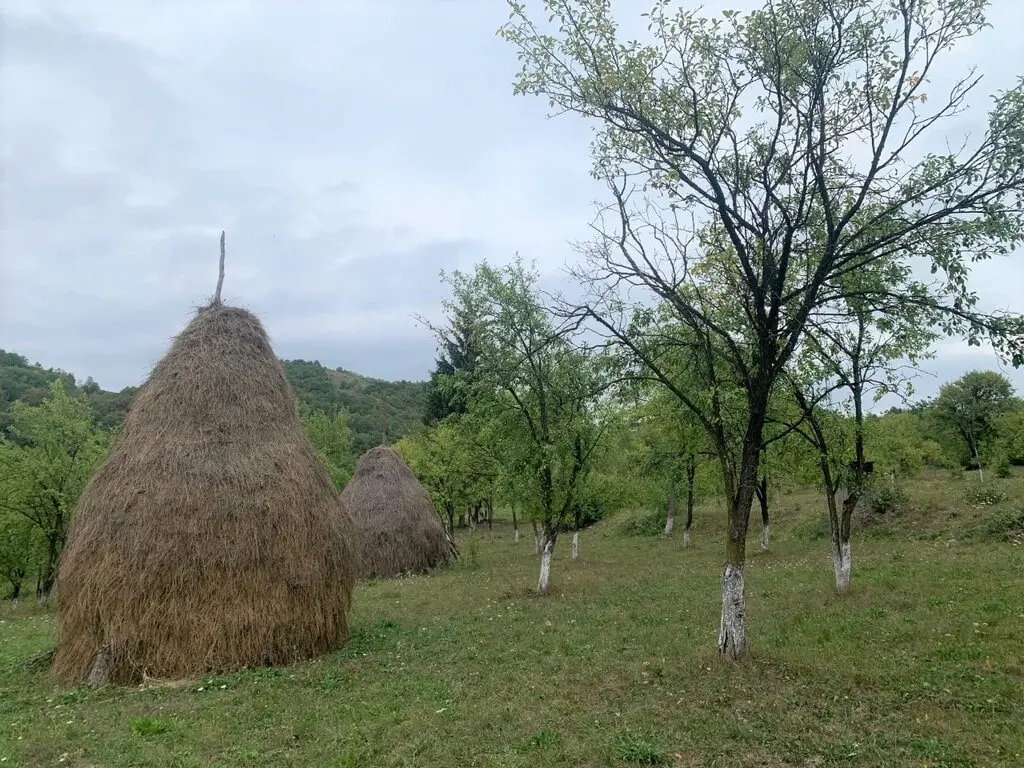 iglesias de madera de Maramures