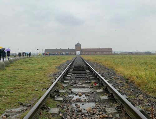 Auschwitz: qué saber antes de ir