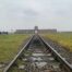 visitar Auschwitz