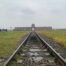 visitar Auschwitz